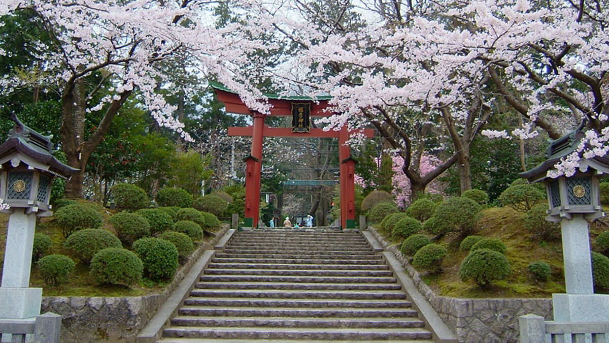 弥彦神社