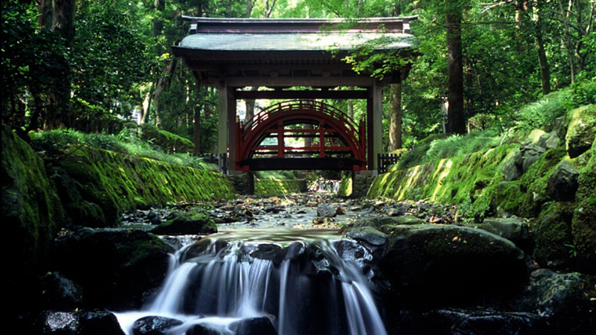 弥彦神社